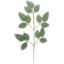 Picture of 30cm ROSE LEAF SPRAY DARK GREEN X 12pcs