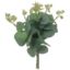 Picture of 21cm EUCALYPTUS PICK GREEN/GREY X 12pcs