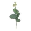 Picture of 21cm EUCALYPTUS PICK GREEN/GREY X 10pcs