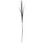 Picture of 98cm ONION GRASS SPRAY BROWN X 48pcs