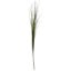 Picture of 92cm BEAR GRASS SPRAY LIGHT GREEN X 24pcs