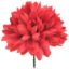 Picture of 7cm PREMIUM CHRYSANTHEMUM BALL PICK RED X 144pcs (IN POLYBAG)