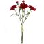Picture of 40cm CARNATION BUNDLE (3 STEMS) WITH RAFFIA TIE RED