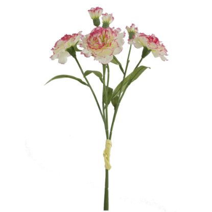 Picture of 40cm CARNATION BUNDLE (3 STEMS) WITH RAFFIA TIE CREAM/PINK