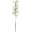 Picture of 82cm CAP LILY SPRAY WHITE