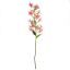 Picture of 82cm CAP LILY SPRAY PINK
