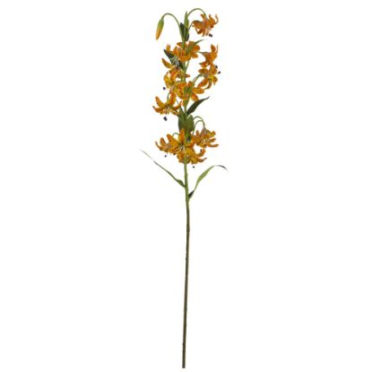 Picture of 82cm CAP LILY SPRAY ORANGE