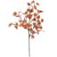 Picture of 70cm EUCALYPTUS SPRAY ORANGE/BROWN