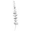 Picture of 38cm EUCALYPTUS SPRAY SILVER X 12pcs