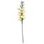Picture of 27cm BERRY PICK IVORY PACK OF 12pcs