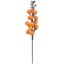 Picture of 27cm BERRY PICK ORANGE PACK OF 12pcs