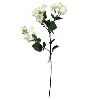 Picture of 59cm STEPHANOTIS SPRAY WHITE