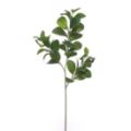 Picture for category UV Resistant Foliage