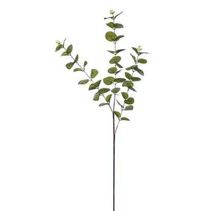 Picture of 85cm EUCALYPTUS SPRAY GREEN