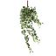 Picture of 120cm IVY TRAIL VARIEGATED