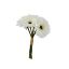 Picture of 23cm GERBERA BUNDLE (6 STEMS) IVORY