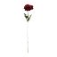 Picture of 48cm SINGLE ANEMONE RED/BLACK