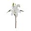Picture of 36cm LILY SPRAY WHITE
