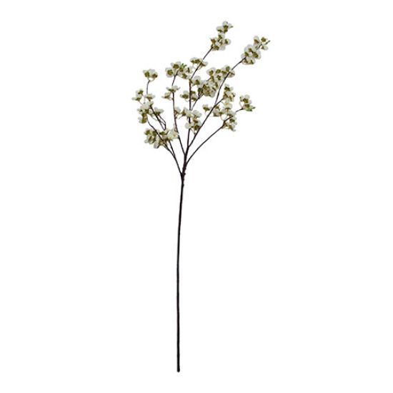 Picture of 116cm TRAILING CHERRY BLOSSOM IVORY