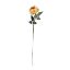 Picture of 67cm PREMIUM SINGLE LARGE GLOBE ROSE ORANGE