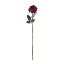 Picture of 67cm PREMIUM SINGLE LARGE GLOBE ROSE BURGUNDY