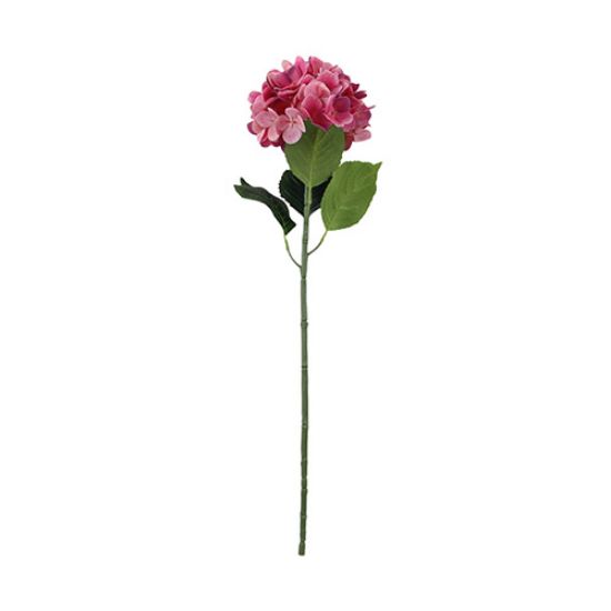 Picture of 68cm GIANT PREMIUM HYDRANGEA RASPBERRY