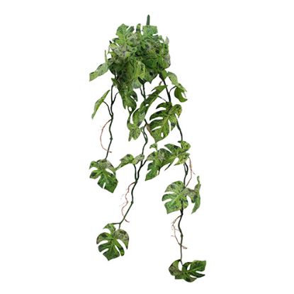 Picture of 80cm PREMIUM MONSTERA LEAF TRAIL LIGHT/DARK GREEN