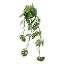 Picture of 80cm PREMIUM MONSTERA LEAF TRAIL LIGHT/DARK GREEN