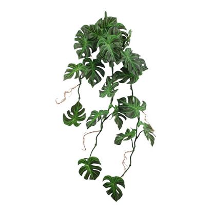 Picture of 80cm PREMIUM MONSTERA LEAF TRAIL STRIPED GREEN