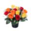 Picture of CEMETERY POT WITH ROSEBUDS AND GYP (12 HEADS) YELLOW/ORANGE/RED
