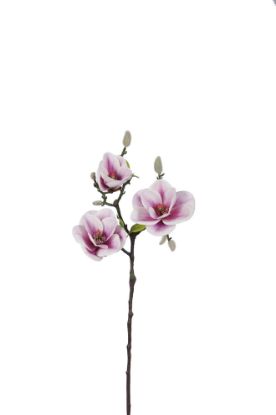 Picture of 53cm UV RESISTANT MAGNOLIA BRANCH PURPLE