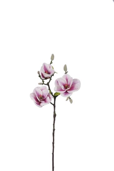 Picture of 53cm MAGNOLIA BRANCH PURPLE