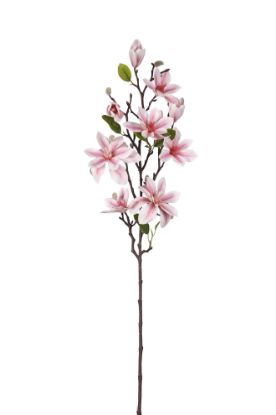 Picture of 80cm MAGNOLIA BRANCH LIGHT PINK