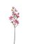 Picture of 80cm MAGNOLIA BRANCH FUCHSIA