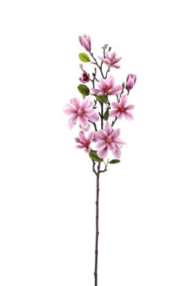 Picture of 80cm MAGNOLIA BRANCH LILAC