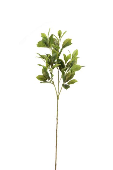 Picture of 80cm UV RESISTANT SHIKIBI LEAF SPRAY GREEN