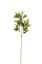 Picture of 80cm UV RESISTANT SHIKIBI LEAF SPRAY GREEN