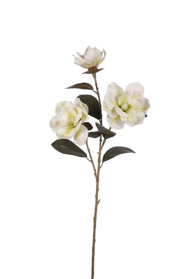 Picture of 80cm LARGE MAGNOLIA SPRAY IVORY