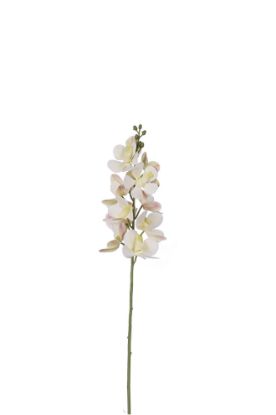 Picture of 60cm UV RESISTANT ORCHID SPRAY IVORY
