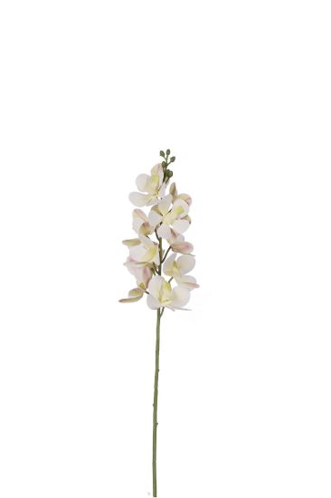 Picture of 60cm ORCHID SPRAY IVORY