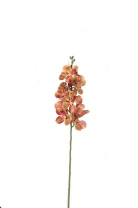 Picture of 60cm UV RESISTANT ORCHID SPRAY BROWN/ORANGE