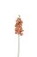 Picture of 60cm UV RESISTANT ORCHID SPRAY BROWN/ORANGE