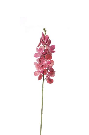 Picture of 60cm ORCHID SPRAY WINE