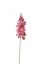 Picture of 60cm UV RESISTANT ORCHID SPRAY WINE