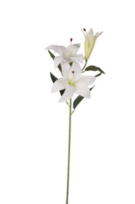 Picture of 86cm UV RESISTANT GIANT TIGER LILY SPRAY IVORY