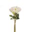 Picture of ROSE BUNDLE (8 HEADS) IVORY