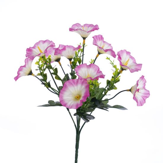 Picture of 30cm MORNING GLORY BUSH LILAC/IVORY