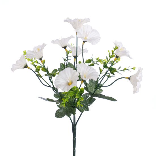 Picture of 30cm MORNING GLORY BUSH IVORY