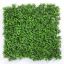 Picture of 50cm X 50cm UV RESISTANT PLASTIC FOLIAGE WALL GREEN
