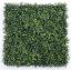 Picture of 50cm X 50cm UV RESISTANT PLASTIC FOLIAGE WALL GREEN